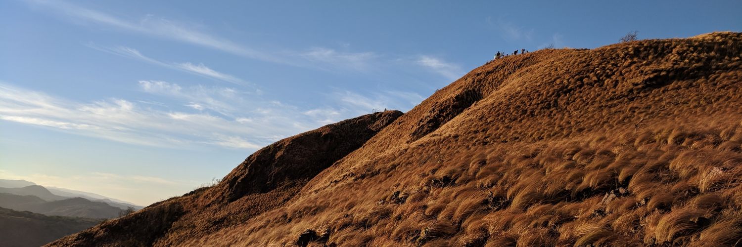 waltervr's profile banner image