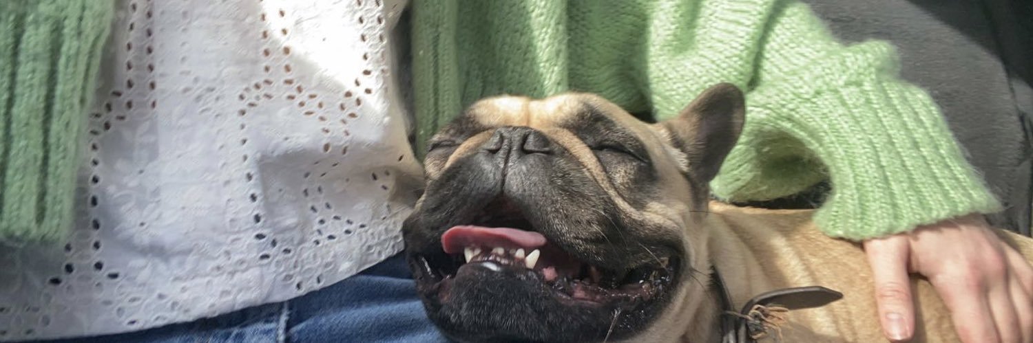 payniblement's profile banner image