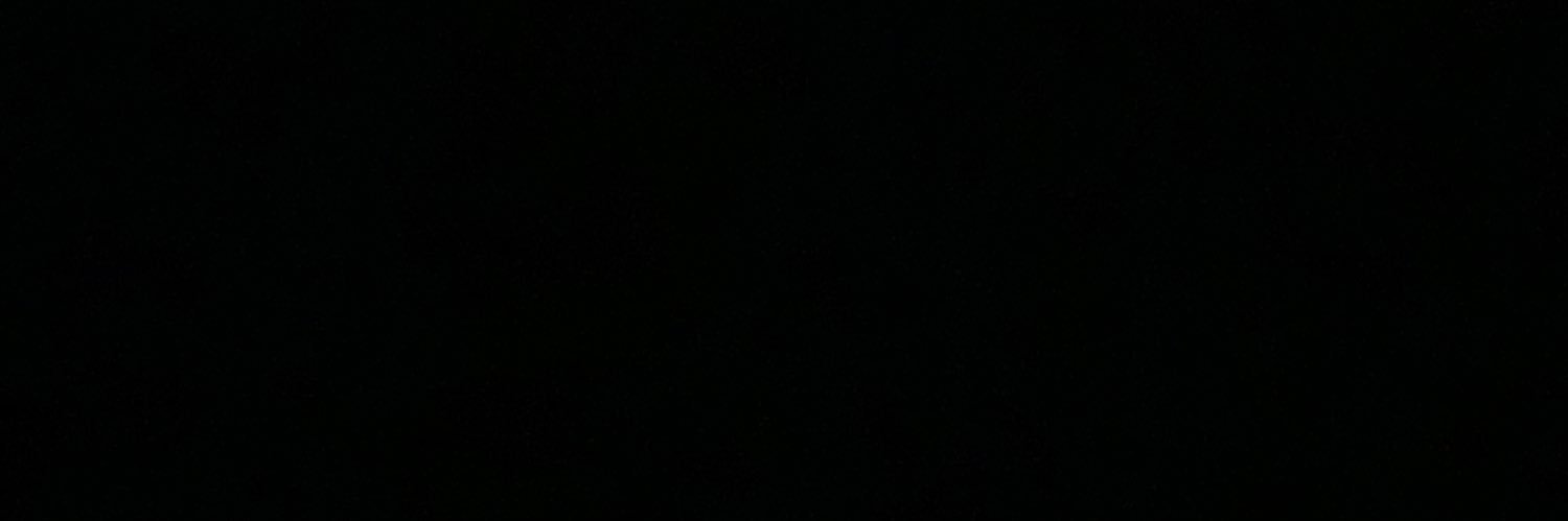 shintadodot's profile banner image