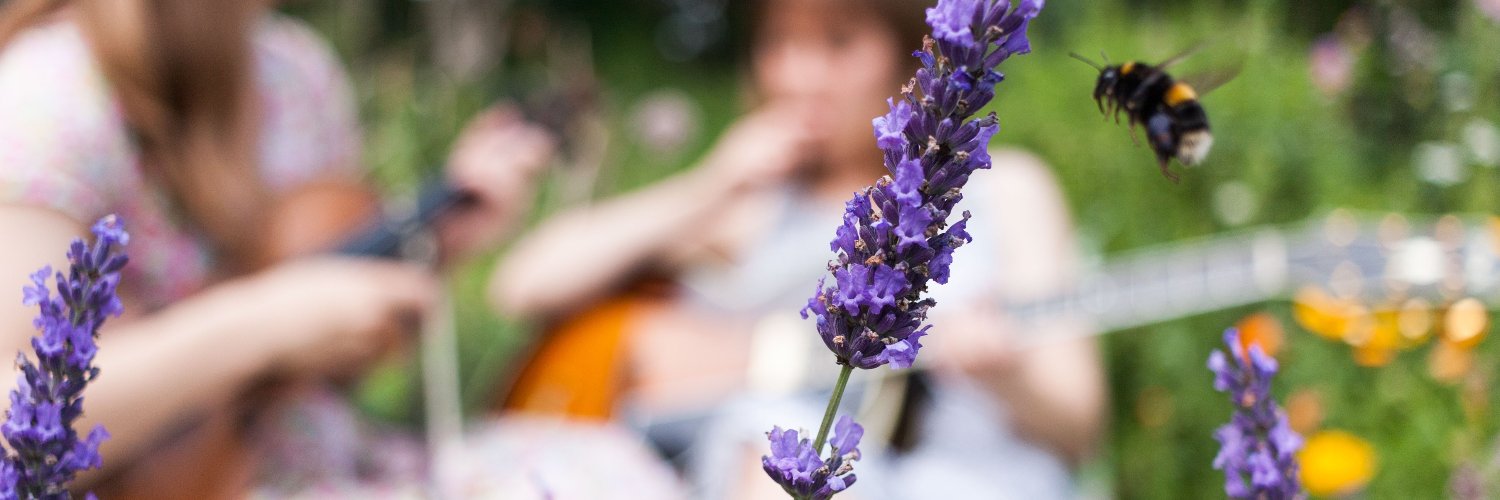 Carrivick Sisters banner