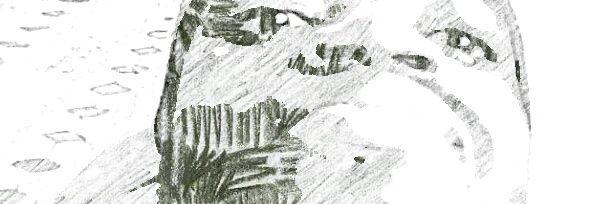 cherokeejnr's profile banner image