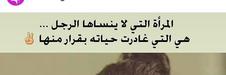 Narges_22's profile banner image