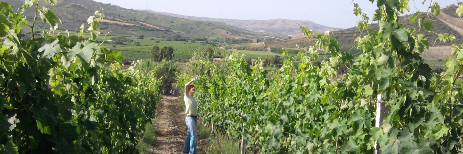 Passione Vino banner