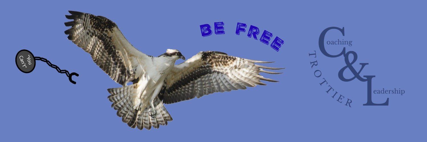 mctrottier's profile banner image