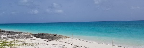 misteringalls Profile Banner