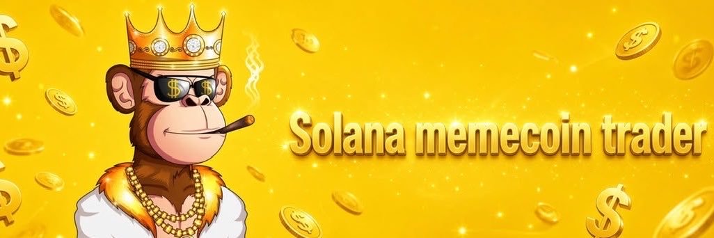 SOL_ALPHA_T01's profile banner image