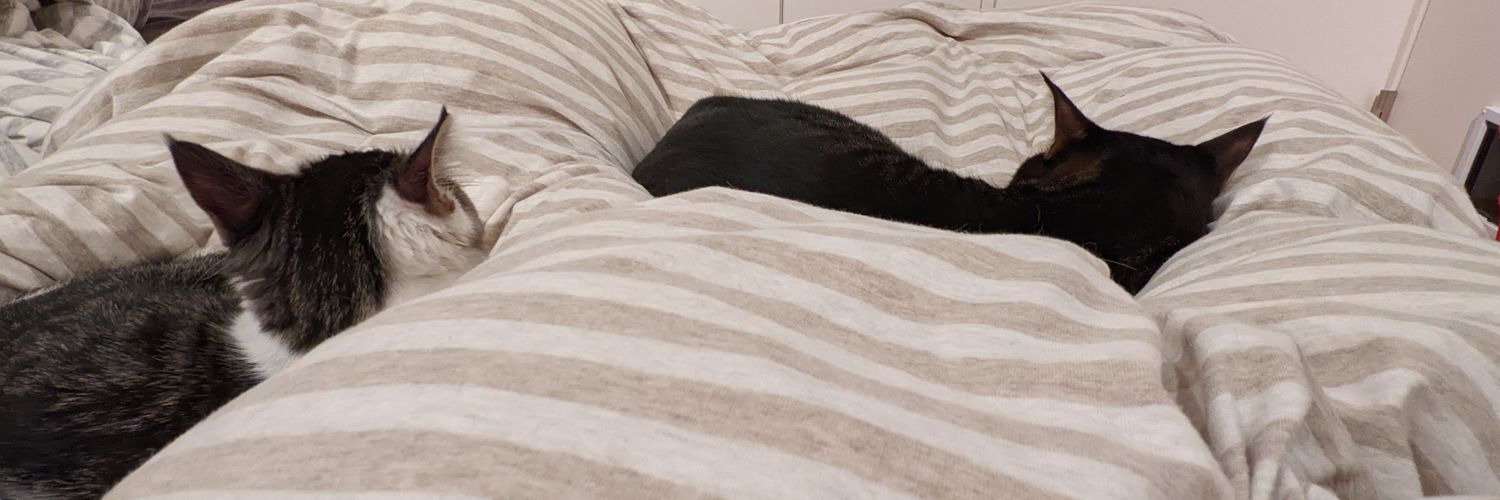 asato🦥 banner
