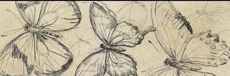 chiaragem's profile banner image