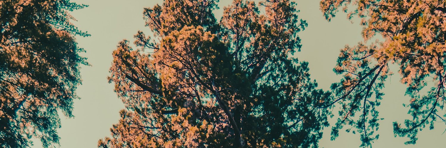 danmoma's profile banner image