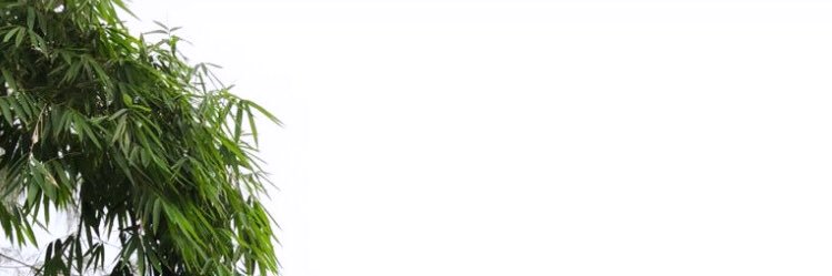 qoroo's profile banner image