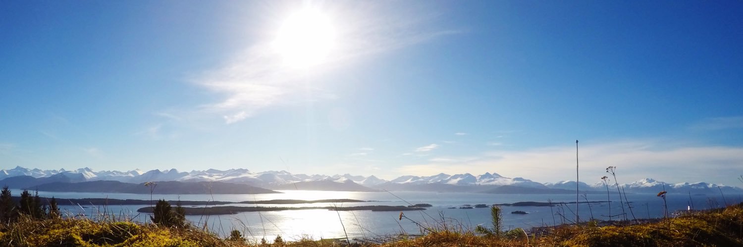 Ragnhild Mowinckel banner