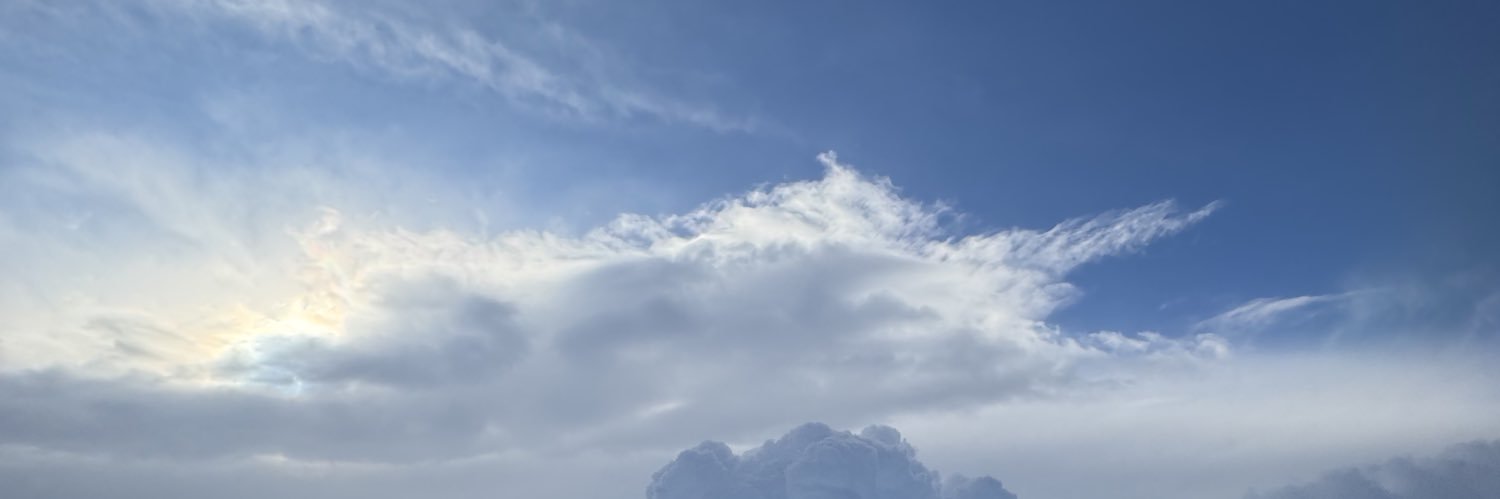MyOwnOrcheatra's profile banner image