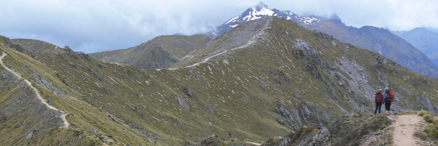 John DeCourcy banner