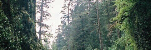 al36r80's profile banner image