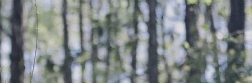 traydorkiri's profile banner image