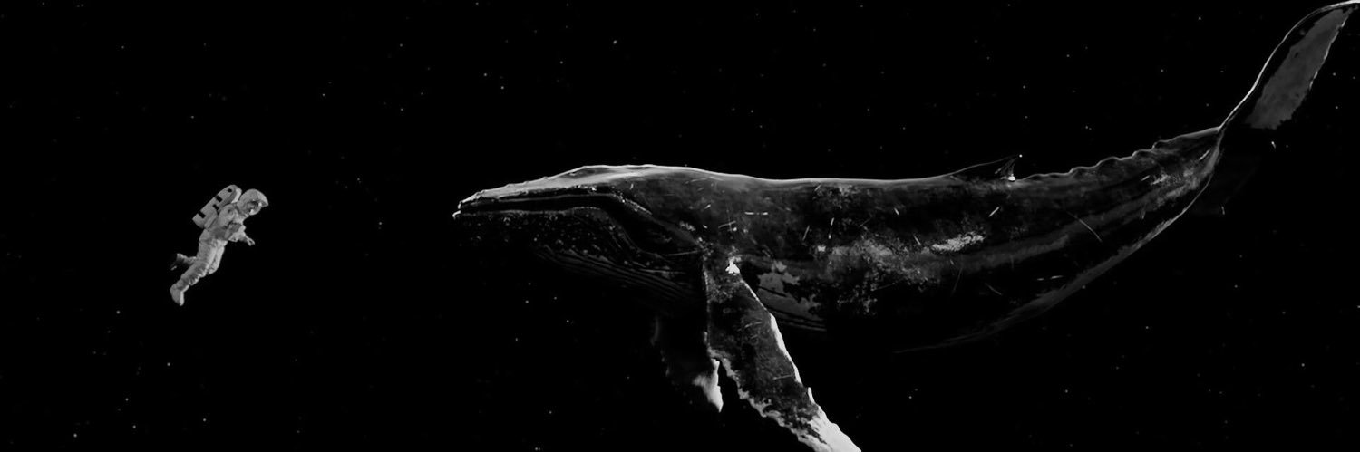 LOEY61Virus's profile banner image