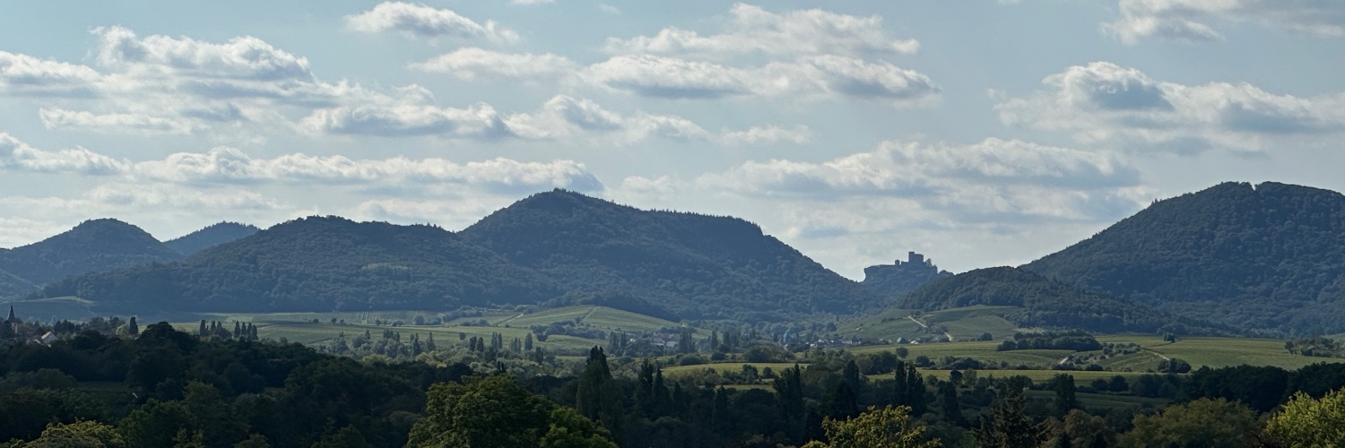 Martin Brandl banner