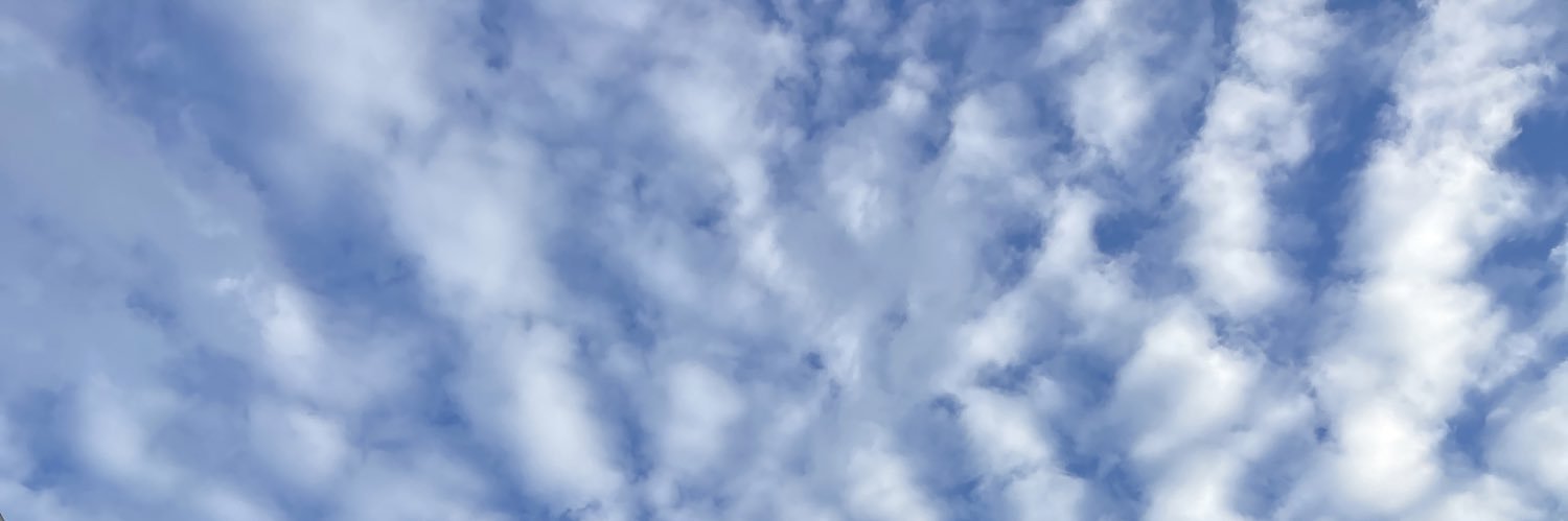 Adeyymaniss's profile banner image