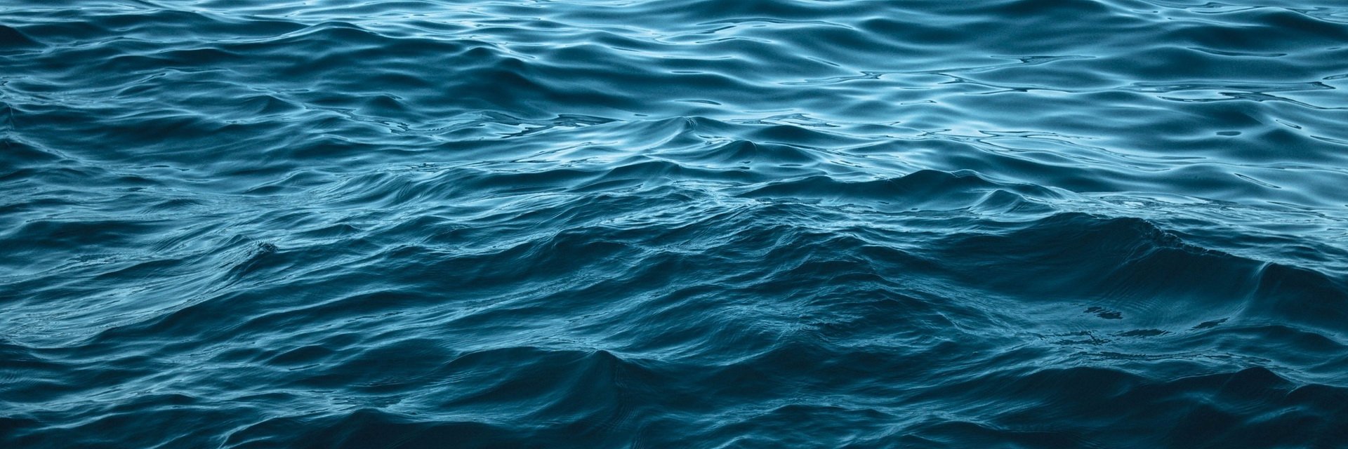 coinatlantic's profile banner image