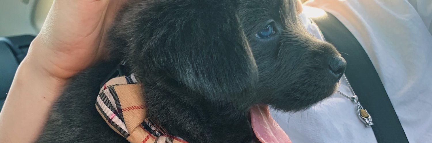 vstephanieee's profile banner image