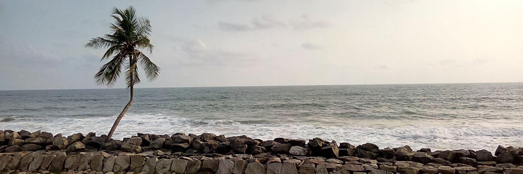 rexfh's profile banner image