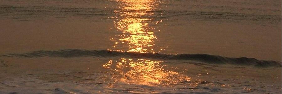 miamidesign's profile banner image