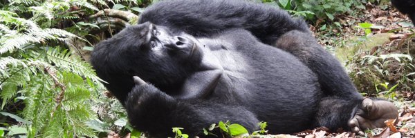 jeffk8900 Profile Banner