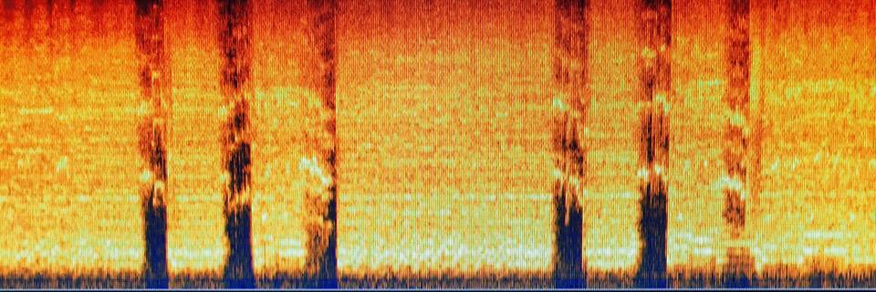 KillybegsSound's profile banner image