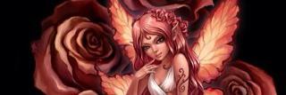 Mostra banner