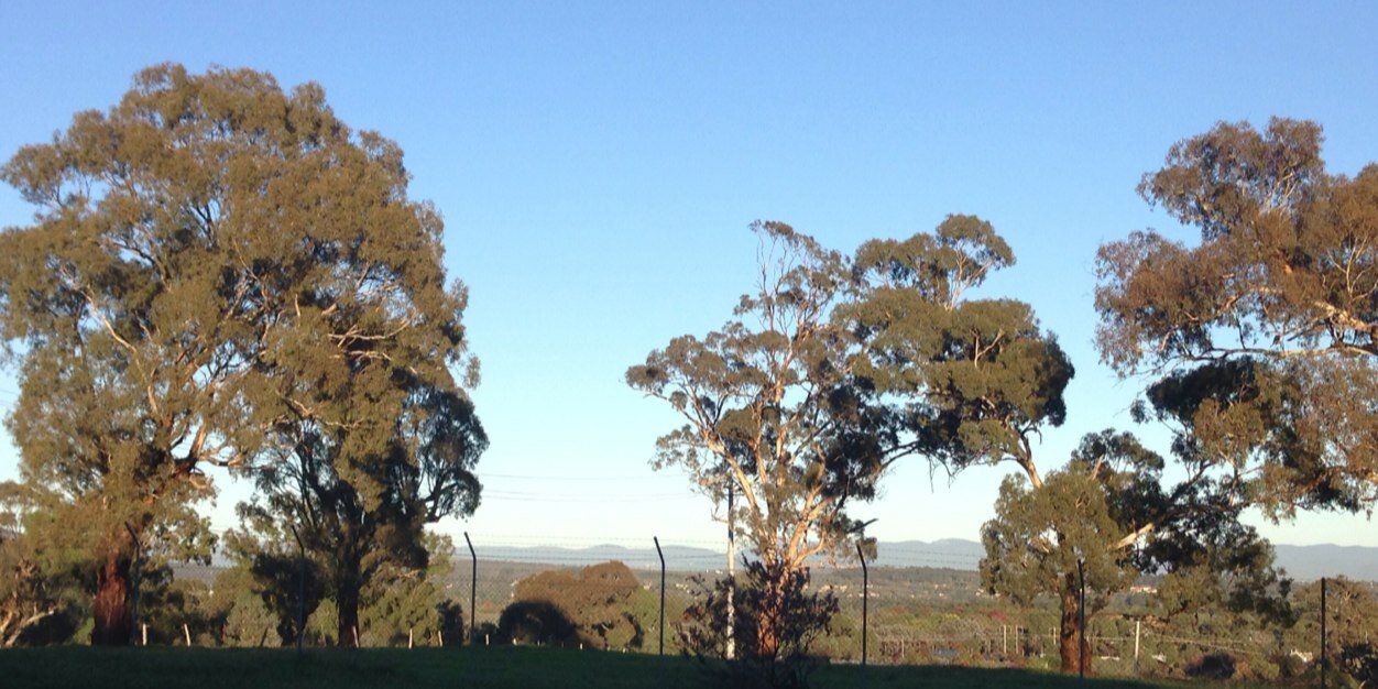 Samuel Gordon-Stewart banner