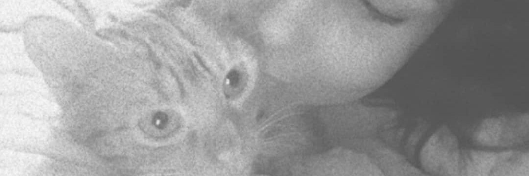 BeeaMM's profile banner image