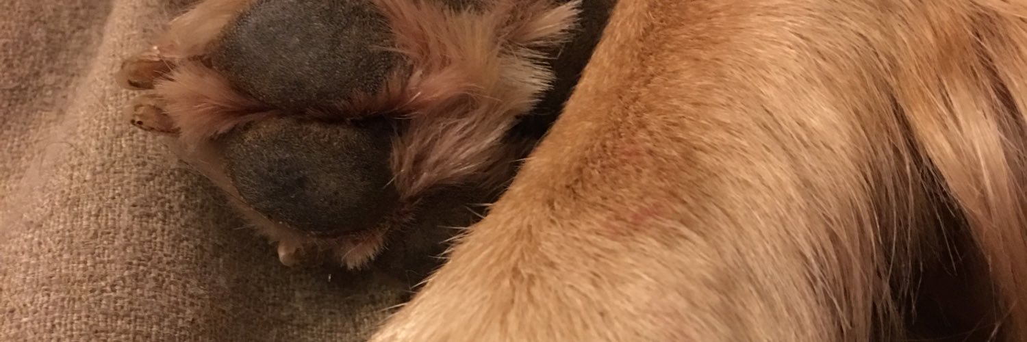 Charltt14's profile banner image