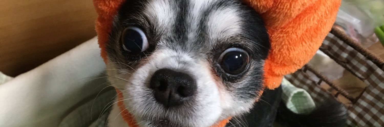 buhhon___'s profile banner image
