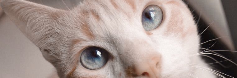 annapg_'s profile banner image