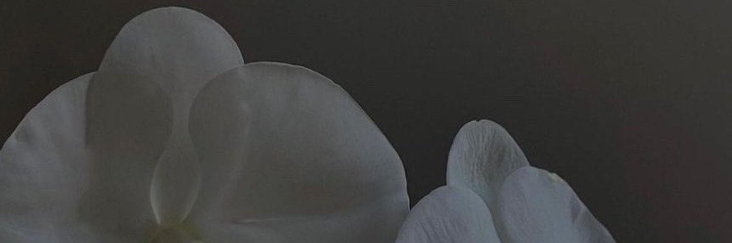 itsSumxya's profile banner image