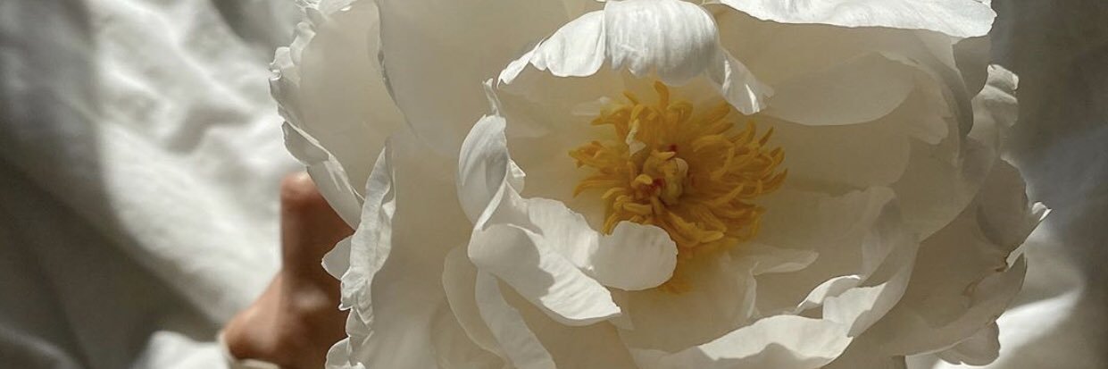 _malvinkaa's profile banner image
