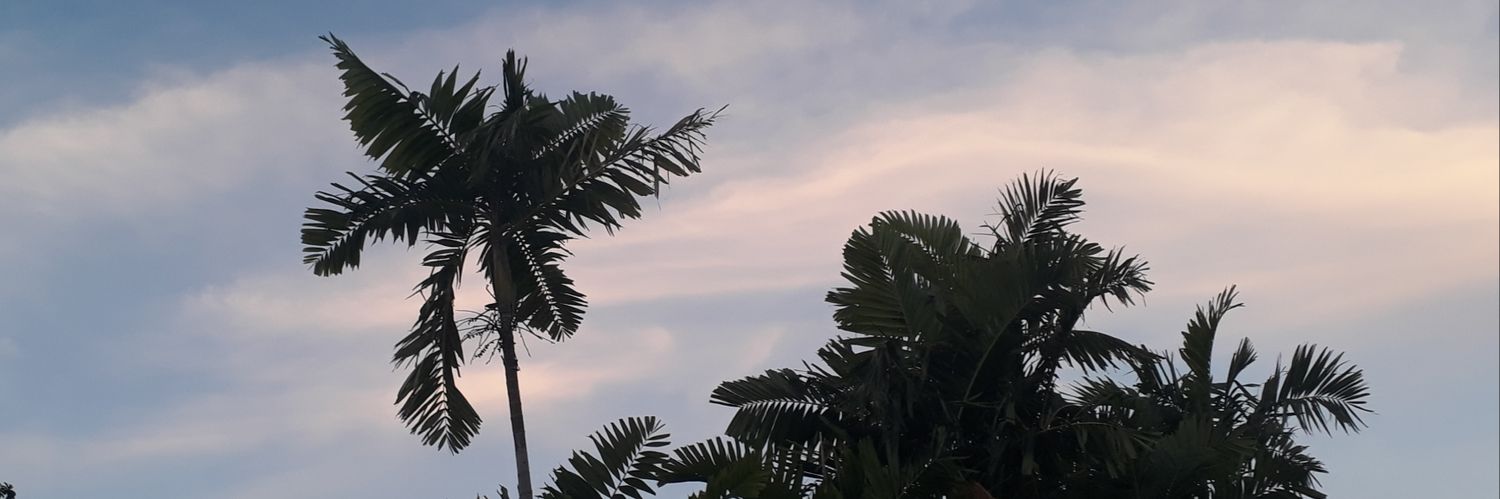Jpamericas's profile banner image