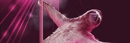 susiruiz_'s profile banner image