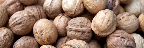 WalnutGlut Profile Banner