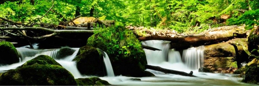 SpringsofGraceB's profile banner image