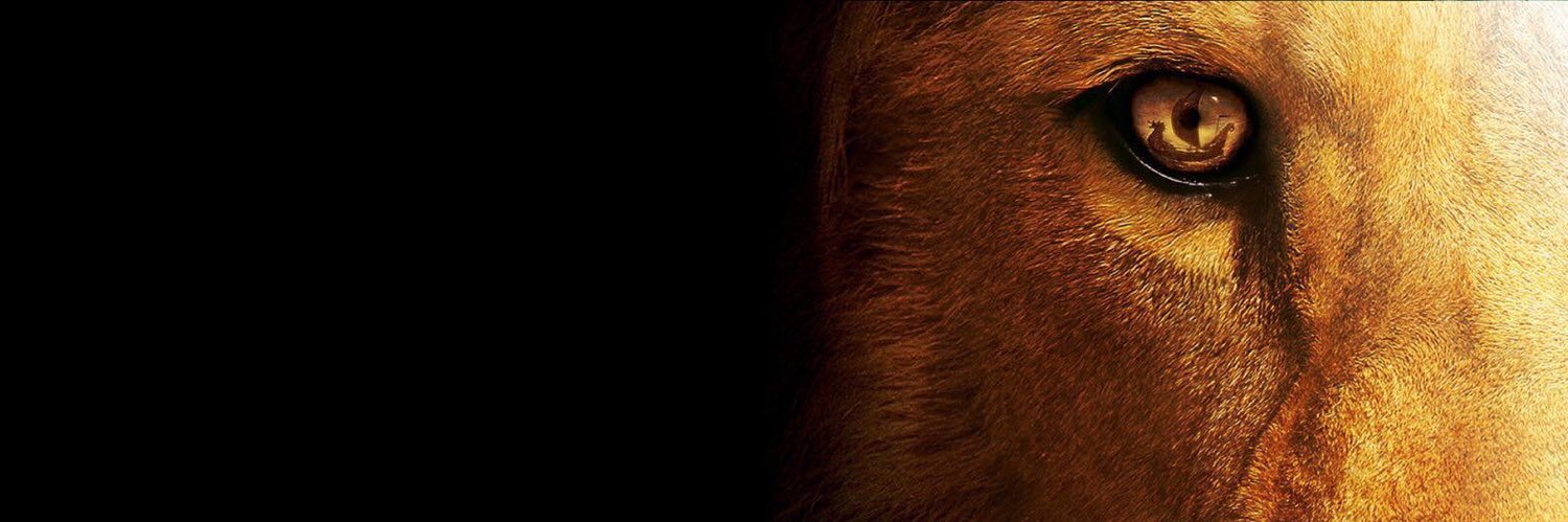 Celiamg17's profile banner image