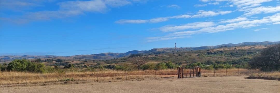 MfunwaD🇸🇿 banner