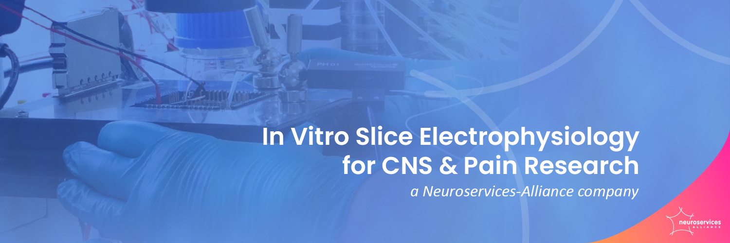 neuroservice's profile banner image