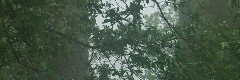 nujou1's profile banner image