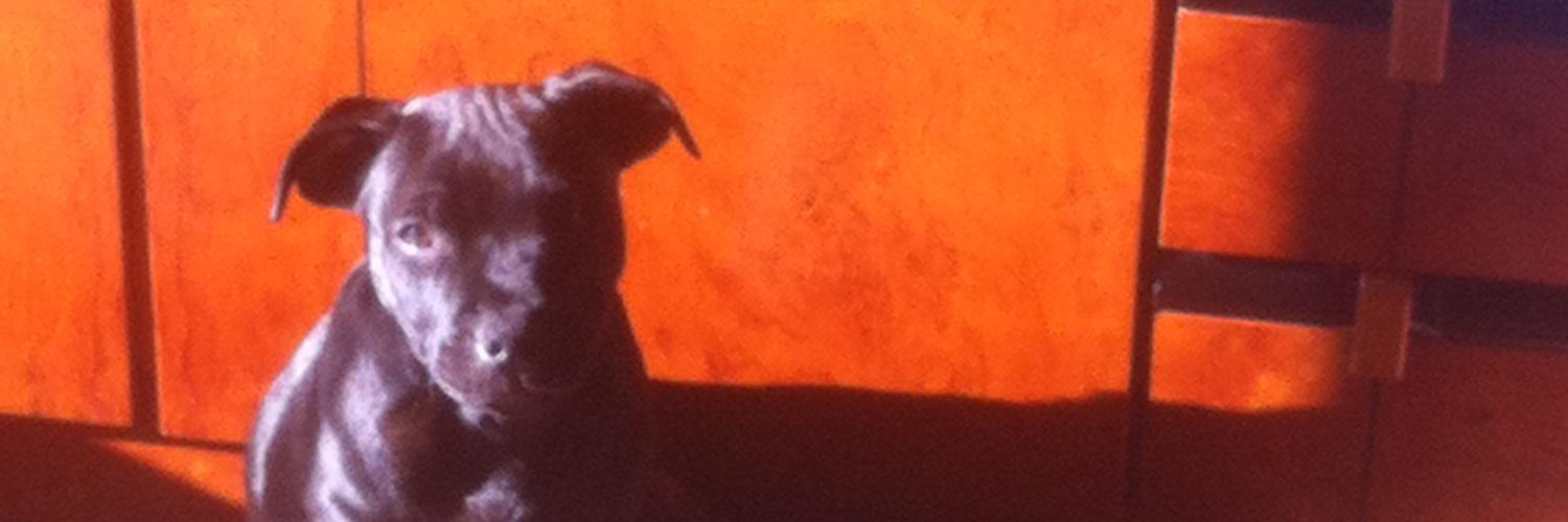 RamonMascarell's profile banner image