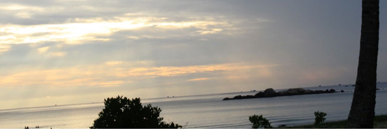 ery_kusuma's profile banner image