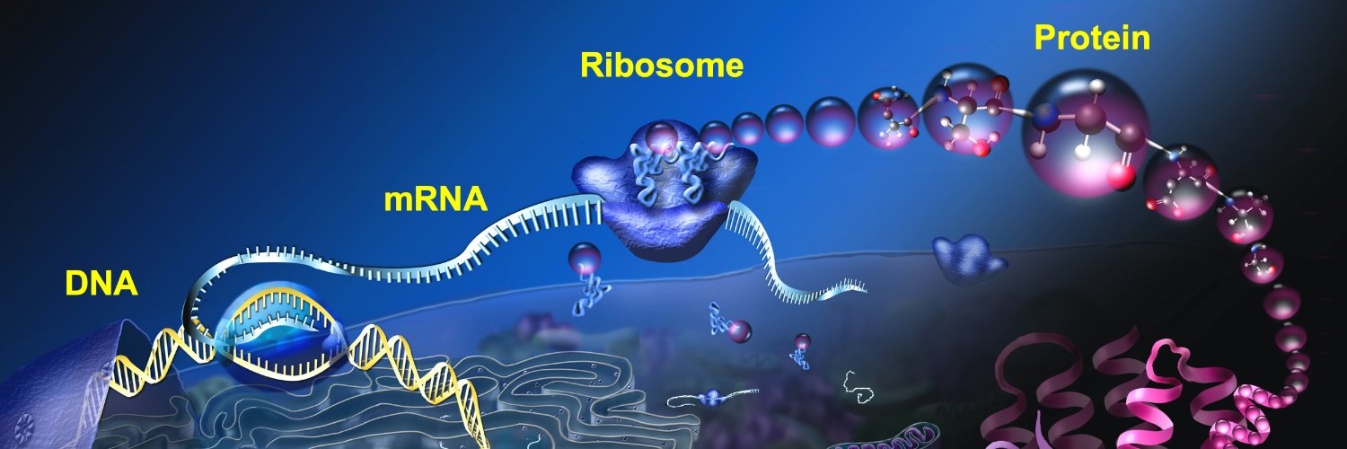 Jay Brito Querido banner