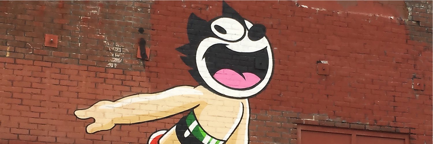 🇺🇸 Ronald Raygun banner