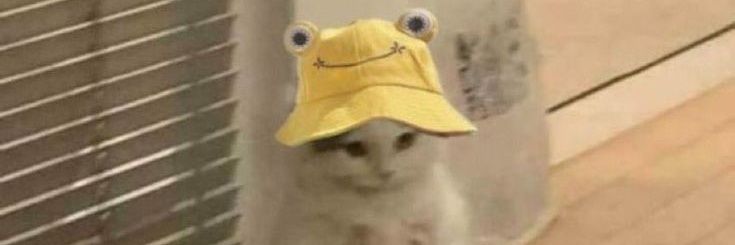 jujuwithluvv's profile banner image