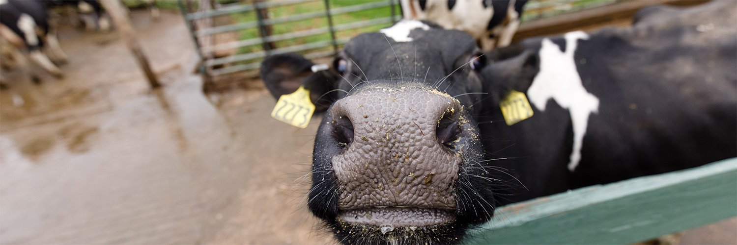 South Mountain Creamery banner